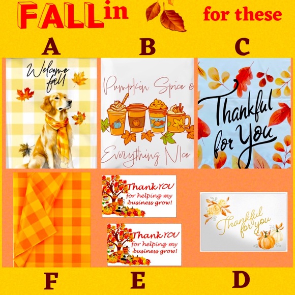 FALL 2024 Shipping Supplies SELECT OPTION - Picture 2 of 16